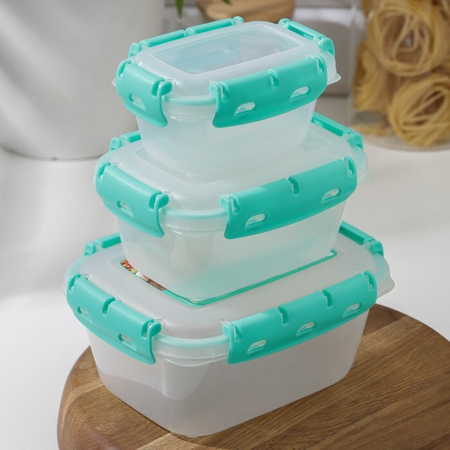 Набор контейнеров с уплотнителем №1 (ланч-боксы, 5 шт) (0,38л; 0,8л; 1,5л; 2,5л; 3,9л) интернет магазин karuselpodarkov.ru