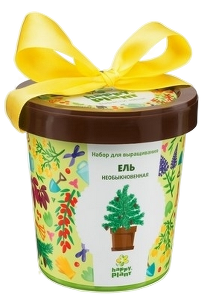Горшок Ель необыкновенная интернет магазин karuselpodarkov.ru