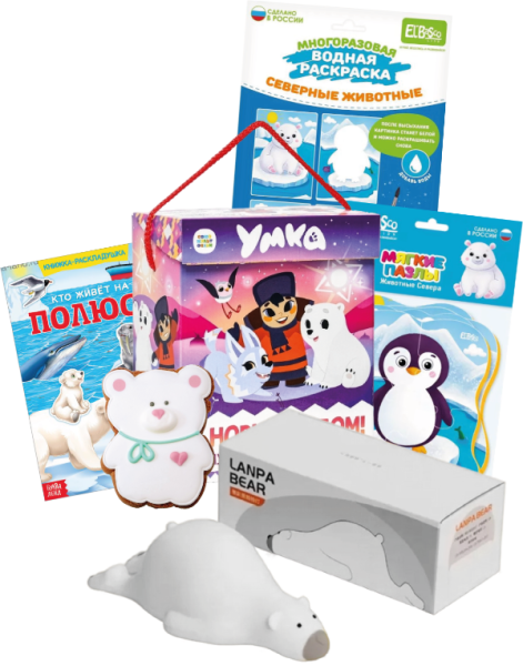 Новогодний подарок В картонной упаковке Северный полюс интернет магазин karuselpodarkov.ru