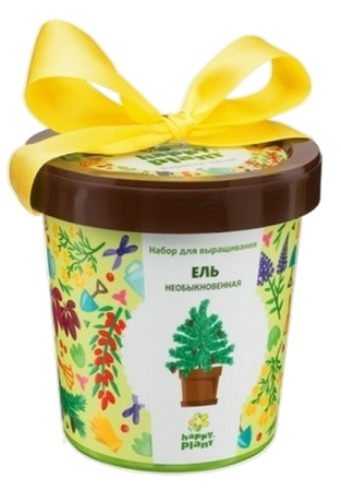Горшок Ель необыкновенная интернет магазин karuselpodarkov.ru